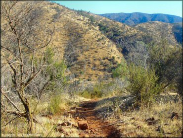 Terrain example at Frank Raines OHV Park Trail