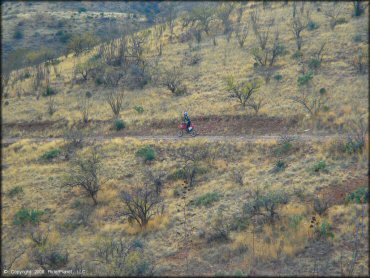 Honda CRF Trail Bike at Santa Rita OHV Routes Trail