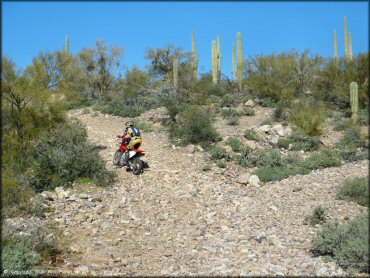 Honda CRF Motorcycle at Mescal Mountain OHV Area Trail