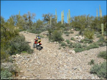 Honda CRF Dirtbike at Mescal Mountain OHV Area Trail