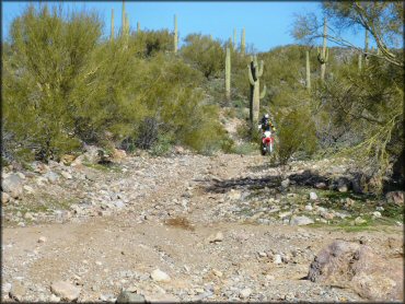 Honda CRF Dirt Bike at Mescal Mountain OHV Area Trail