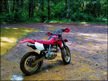 Honda XR 400R parked next to mud puddle in the woods.