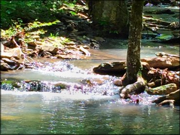 Moccasin Gap Trails