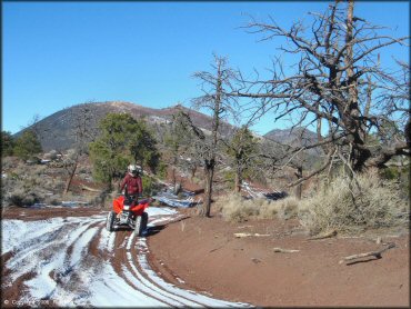 Rider on Honda TRX 250EX riding through snow covered ATV trail.