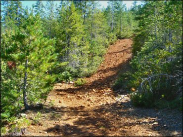 A trail at Rattlesnake Ridge Area Trail