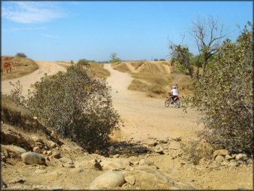 Honda CRF Trail Bike at La Grange OHV Park OHV Area