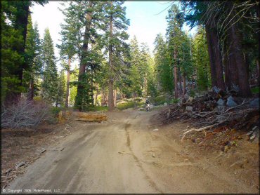 Honda CRF Trail Bike at Genoa Peak Trail