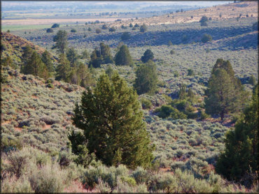 Rice Canyon OHV Area Trail