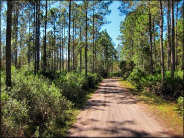 Florida Cracker Ranch Trail