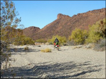 Honda CRF Trail Bike floating the front at Swansea Townsite Trail