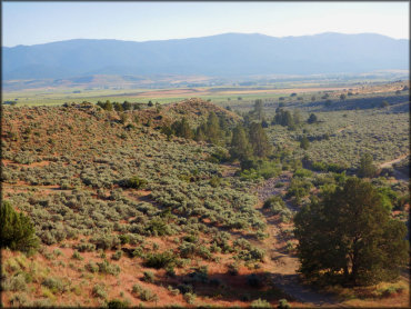 Rice Canyon OHV Area Trail