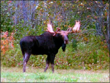 Scenic view of Katahdin Lodge Trail