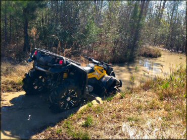 Up The Creek Acres Trail