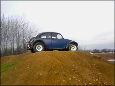 Blue Volkswagen Beetle parked on top of small hill.