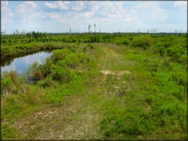 Mallory Swamp ATV Trail