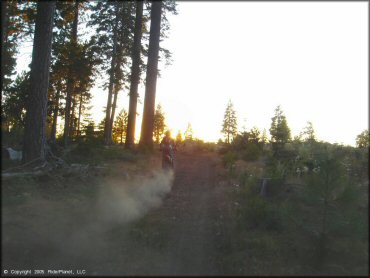 Honda CRF Motorcycle at Black Springs OHV Network Trail