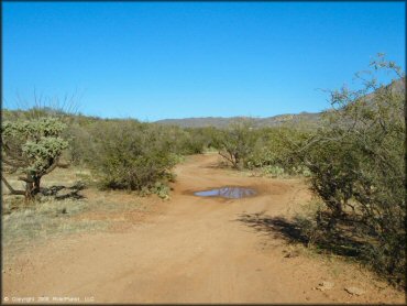 Example of terrain at Charouleau Gap Trail