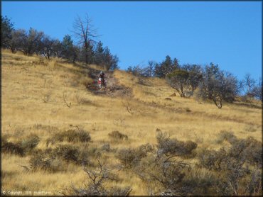 Honda CRF Motorcycle at Hunter Lake Trail