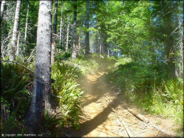 A trail at Diamond Mill OHV Area Trail