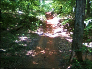 Cedar Springs OHV Trail