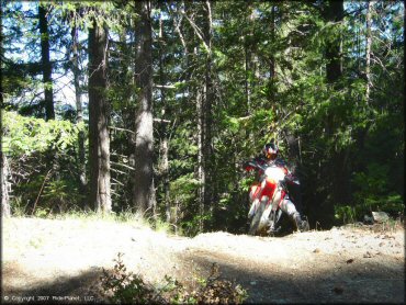 Honda CRF Motorbike at Pilot Creek OHV Trails