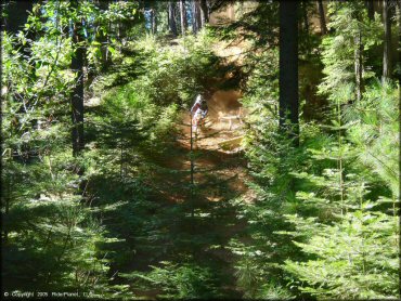 Honda CRF Trail Bike at Miami Creek OHV Area Trail