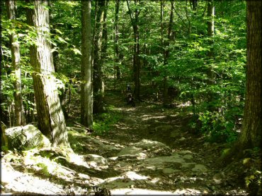 Example of terrain at Beartown State Forest Trail
