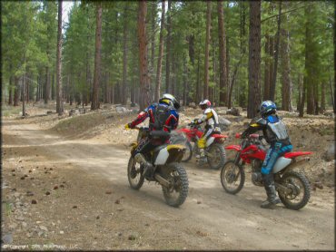 Honda CRF Motorcycle at Verdi Peak OHV Trail