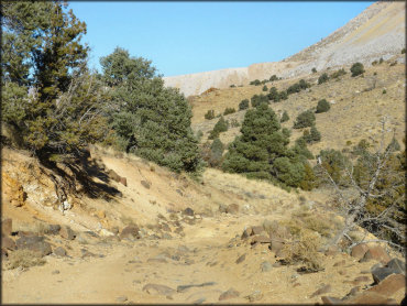 OHV at Lousetown Road Trail