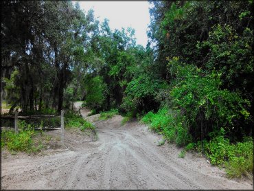 Croom Motorcycle Area Trail