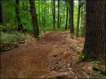 Hopkinton-Everett Trail System