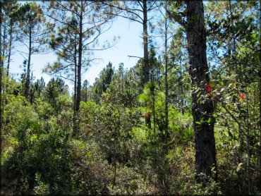 Omega Ranch Trail