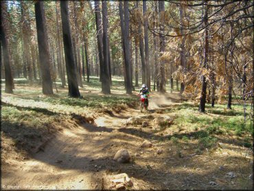 Honda CRF Motorcycle at Elkins Flat OHV Routes Trail