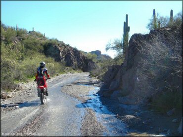 Honda dirt bike going through shallow stream with gravel and sand.