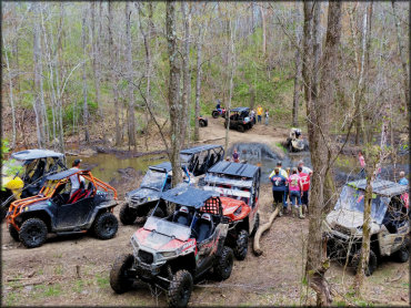 A large group of people surrounded by UTVs watching an ATV rider go through a steep and deep mud pit.
