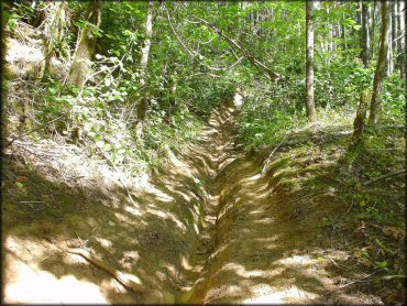 Terrain example at Low Pass Trail
