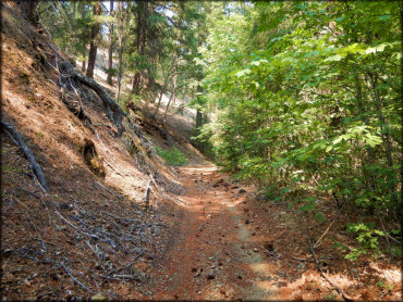Humbug OHV Area Trail