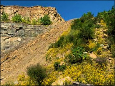 Tackett Creek Trails