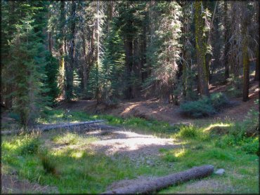 A trail at Hull Creek And Trout Creek OHV Area Trail