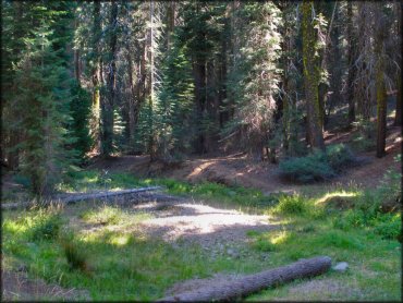 Some terrain at Hull Creek And Trout Creek OHV Area Trail