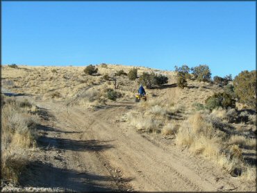 OHV at Johnson Lane Area Trail