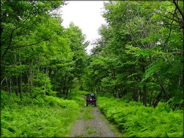 Martin Hill ATV Trail