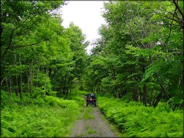 Martin Hill ATV Trail