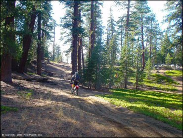 Honda CRF Trail Bike at Genoa Peak Trail