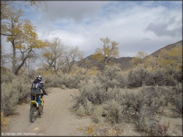 OHV at Peavine Canyon Trail