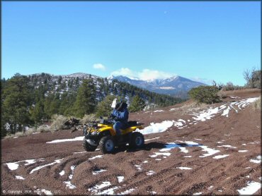 Man on Honda Recon 250 parked with snow capped mountains and mature pine trees in the background.