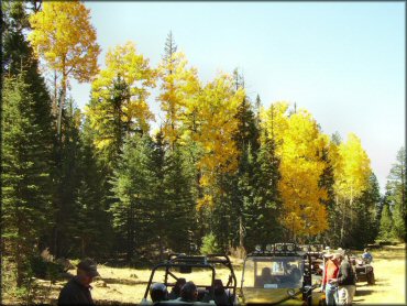 OHV at Maverick Trail