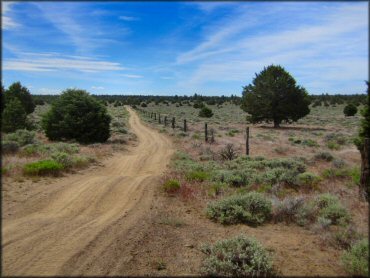 Cline Buttes Recreation Area Trail