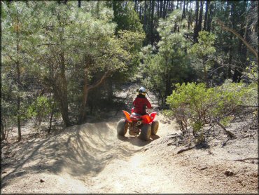 OHV at Alto Pit OHV Area Trail