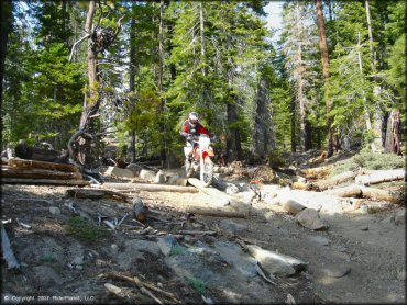 Honda CRF Dirt Bike at Corral OHV Trail